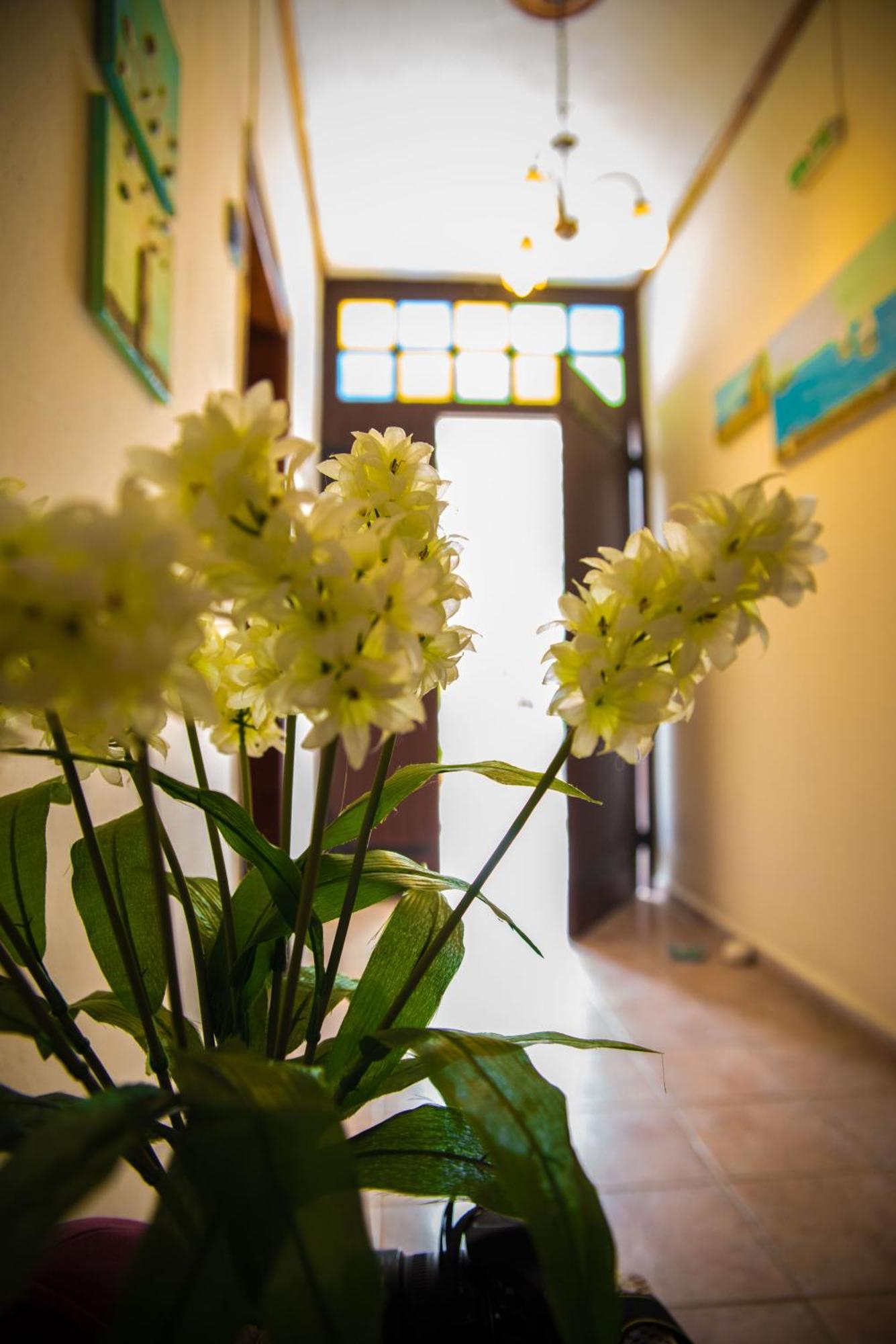Olga Studios Áfissos Pokoj fotografie